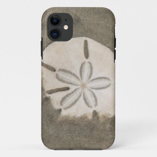 Sand dollar Echinarachnius parma iPhone 11 Case