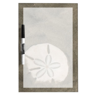 Sand dollar (Echinarachnius parma) Dry-Erase Board