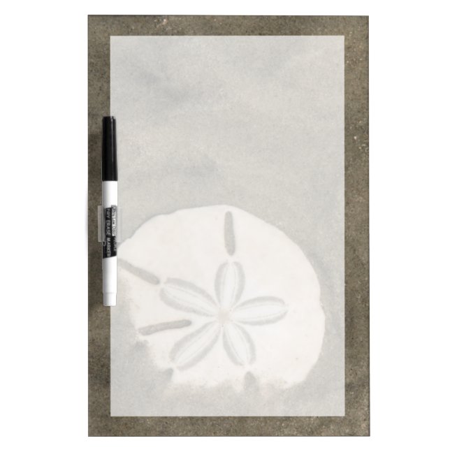 Sand dollar (Echinarachnius parma) Dry-Erase Board (Front)