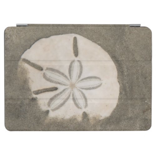 Sand dollar Echinarachnius parma iPad Air Cover