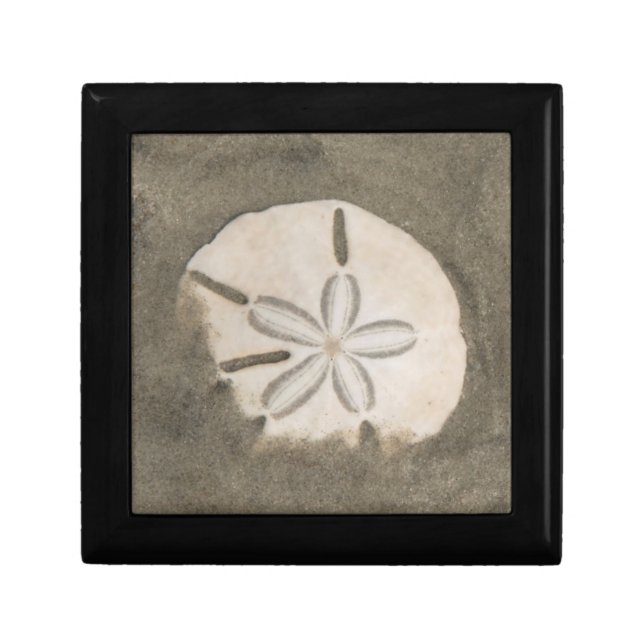 Sand dollar (Echinarachnius parma) Keepsake Box (Front)