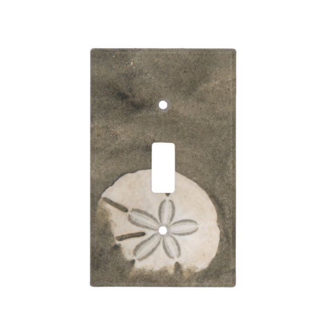 Sand dollar (Echinarachnius parma) Light Switch Cover (Front)