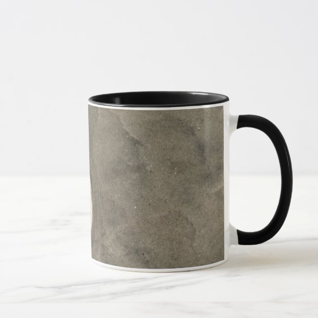 Sand dollar (Echinarachnius parma) Mug (Right)