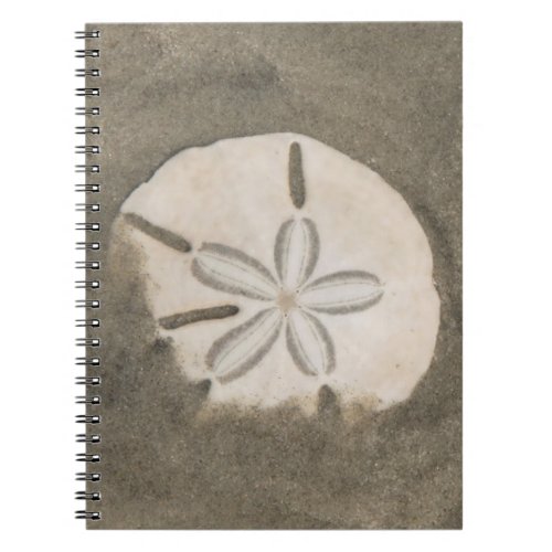 Sand dollar Echinarachnius parma Notebook