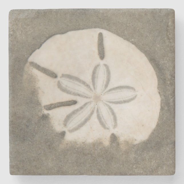Sand dollar (Echinarachnius parma) Stone Coaster (Front)
