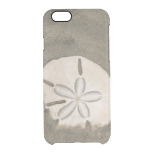 Sand dollar (Echinarachnius parma) Clear iPhone 6/6S Case