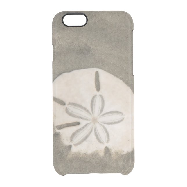 Sand dollar (Echinarachnius parma) Uncommon iPhone Case (Back)