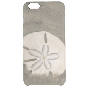 Sand dollar (Echinarachnius parma) Clear iPhone 6 Plus Case