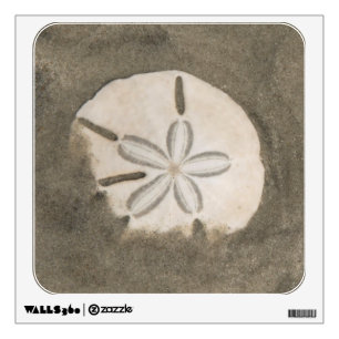 Sand dollar (Echinarachnius parma) Wall Sticker