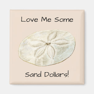 Sand Dollar Magnet
