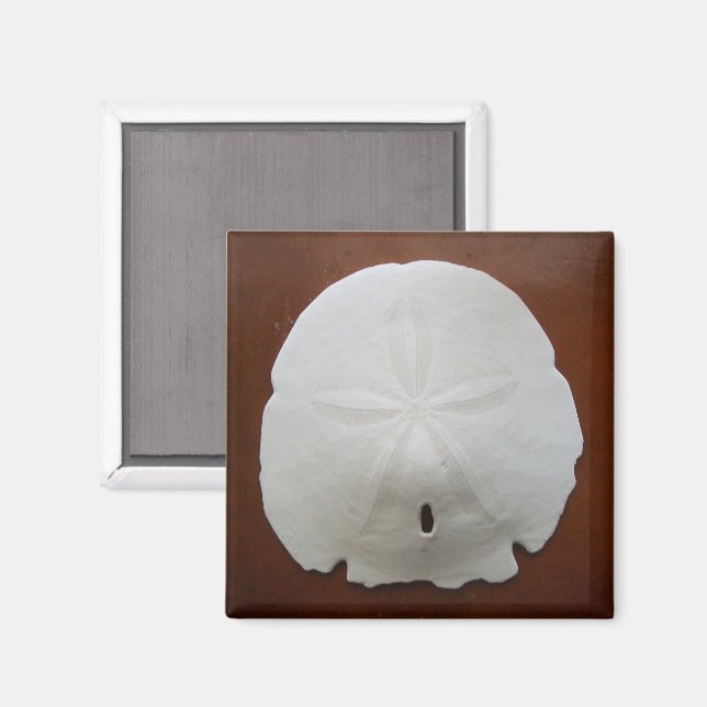 Sand Dollar Magnet (Front/Back)