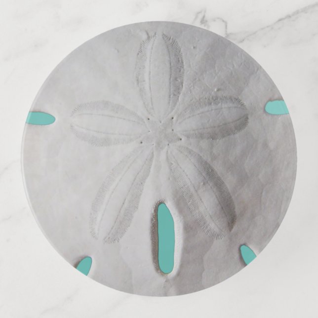 Sand dollar ocean beach summer turquoise white   trinket tray (Front)