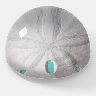 Sand dollar ocean beach white turquoise  paperweight