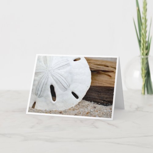 Sand Dollar on Driftwood Note Card