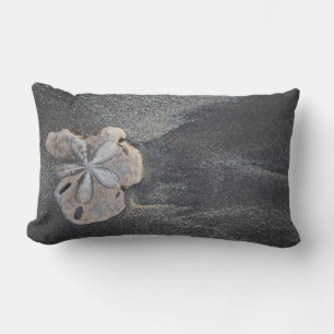 Sand dollar on sand lumbar pillow