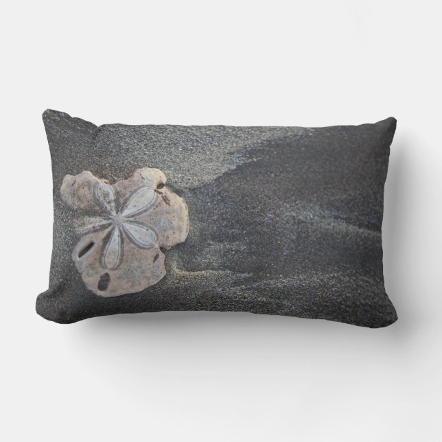 Sand dollar on sand lumbar pillow (Front)