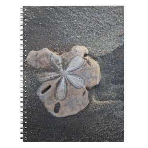 Sand dollar on sand notebook