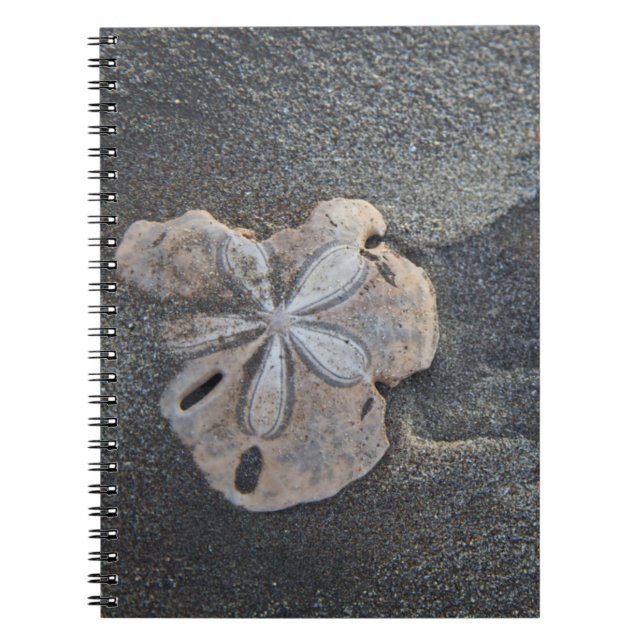Sand dollar on sand notebook (Front)