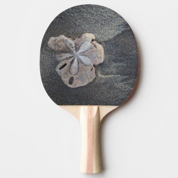 Sand Dollar On Sand Ping-pong Paddle by tothebeach at Zazzle