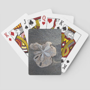 Sand dollar on sand poker cards
