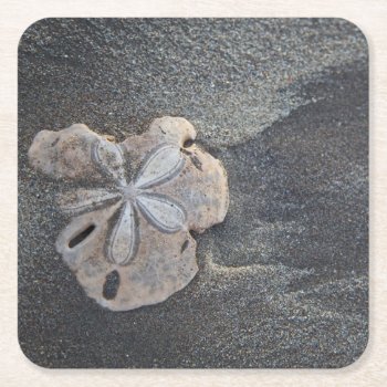 Sand Dollar On Sand Square Paper Coaster by tothebeach at Zazzle