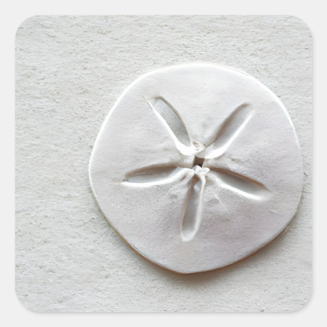 Sand Dollar on the Sandy Beach Square Sticker (Front)