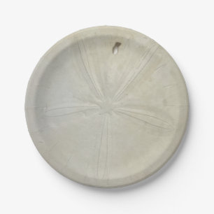 Sand Dollar Paper Plate