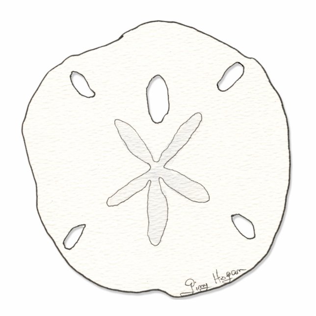 Sand Dollar Photo Sculpture (Front)