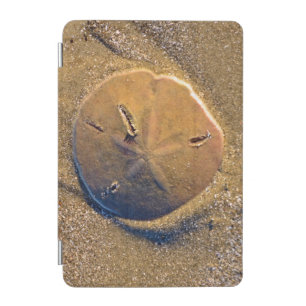 Sand Dollar Revealed On Beach   Hilton Head Island iPad Mini Cover