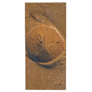Sand Dollar Revealed On Beach   Hilton Head Island Wood USB Flash Drive