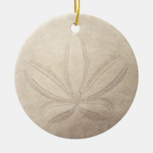 Sand Dollar Round Ornament