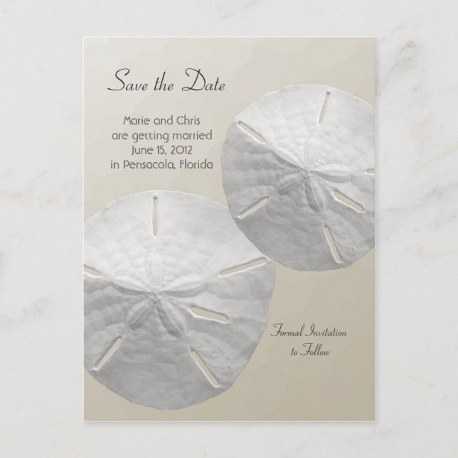 Sand Dollar Save the Date Beach Theme Wedding Announcement Postcard (Front)