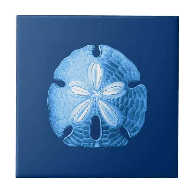 Sand Dollar Sea Life Print, Indigo Blue and White Ceramic Tile (Front)