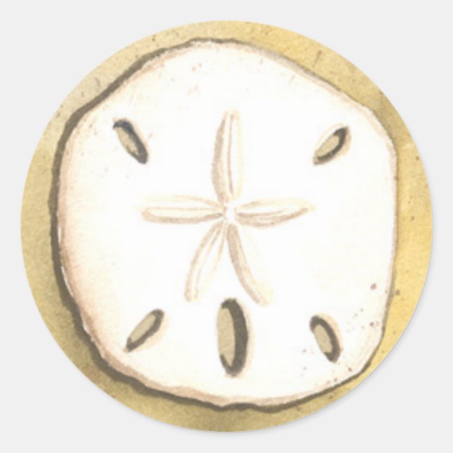 Sand Dollar Sea Shell Classic Round Sticker (Front)