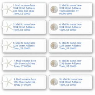 Sand Dollar Sea Stars White Individual Mailing Sticker