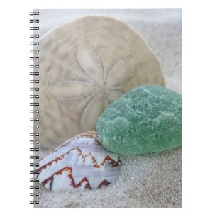 Sand dollar, seashell and sea glass - notebook