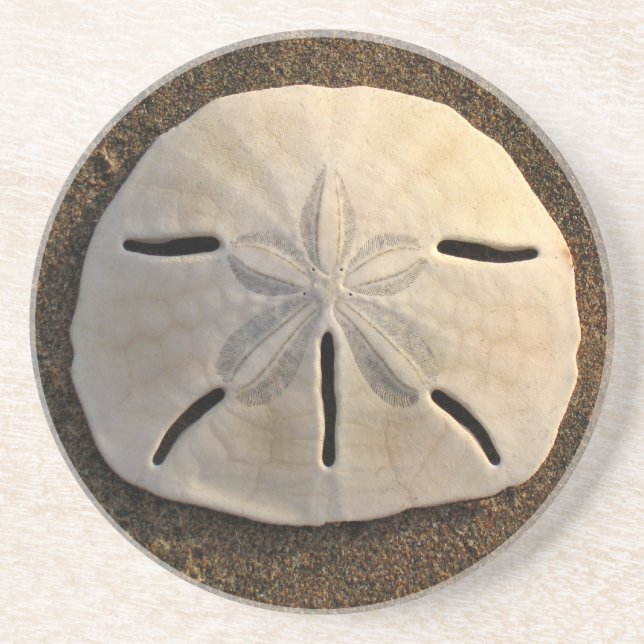 Sand Dollar Seashell Beach Drink Coaster (Front)
