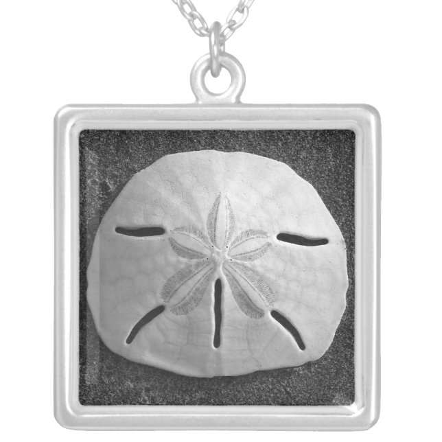 Sand Dollar Seashell Beach Silver Necklace Pendant (Front)