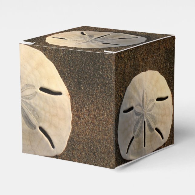 Sand Dollar Seashell Party Favor Custom Gift Box (Front Side)