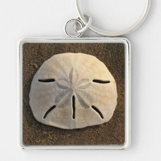 Sand Dollar Seashell Sand Beach Keychain