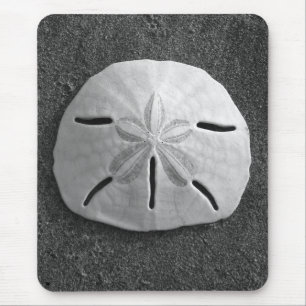 Sand Dollar Seashell Sand Beach Mousepad