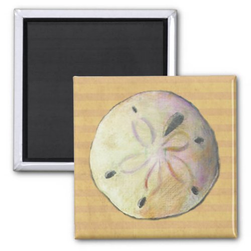 Sand dollar seashell shell for beach combers magnet