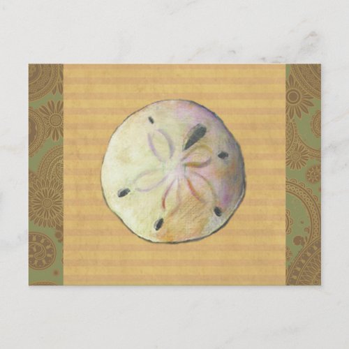 Sand dollar seashell shell for beach combers postcard