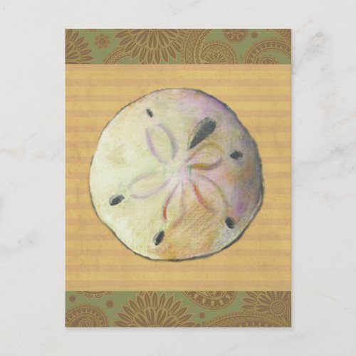 Sand dollar seashell shell for beach combers postcard