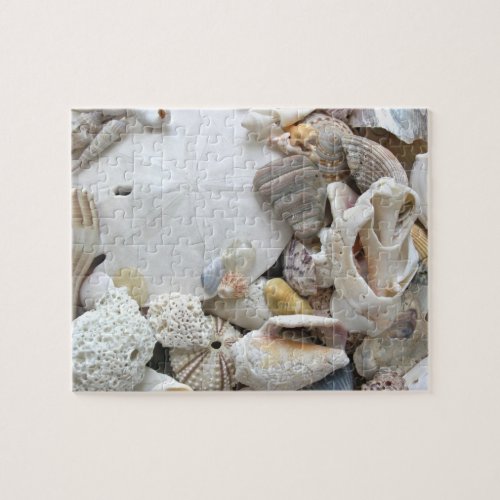 Sand Dollar Seashells Jigsaw Puzzle