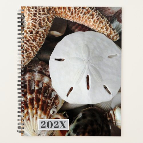 Sand Dollar Seashells Planner Year Template