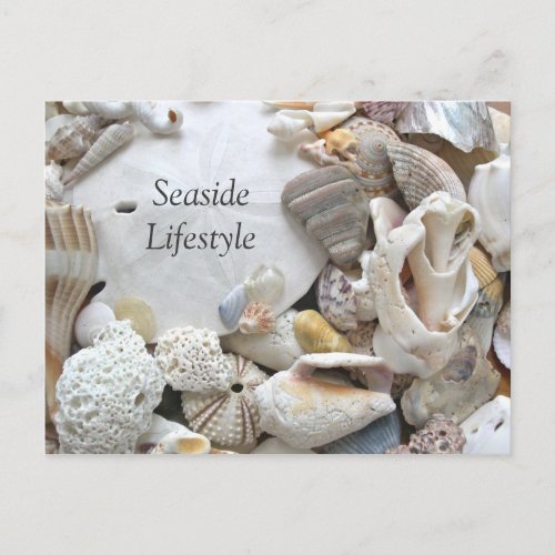 Sand Dollar Seaside Lifestyle New Addres Announcement Postcard