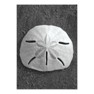 Sand Dollar Shell Beach Invitation (B&W Photo)