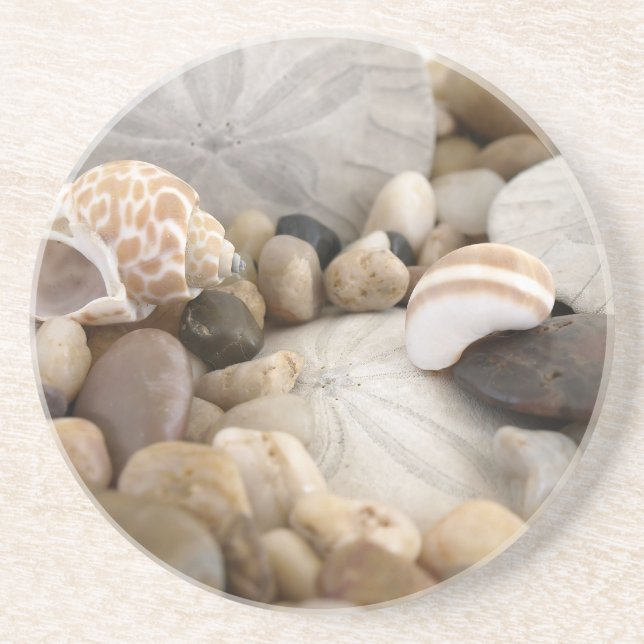 Sand Dollar Shells and Pebbles Drink Coaster (Front)