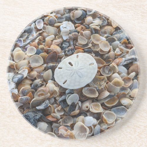 Sand Dollar  Shells Sandstone Coaster